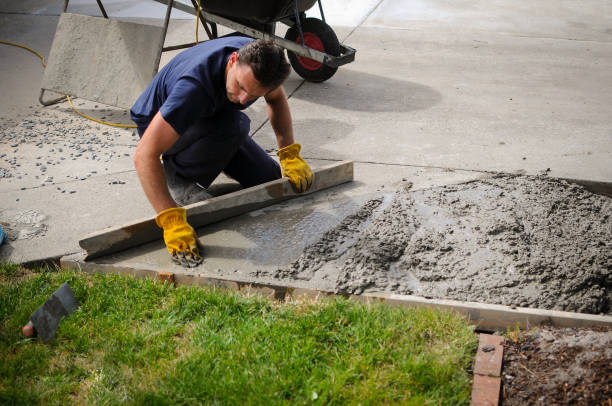 Best Driveway Pressure Washing in Larch Y, WA